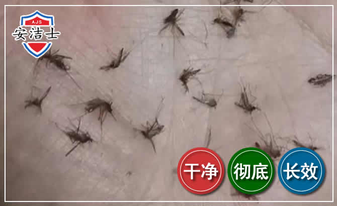 嵊泗蚊子防治-灭蚊