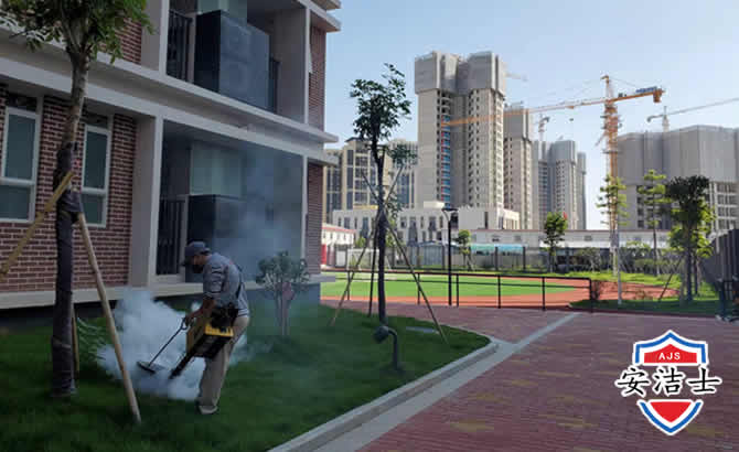 嵊泗工厂工地除白蚁