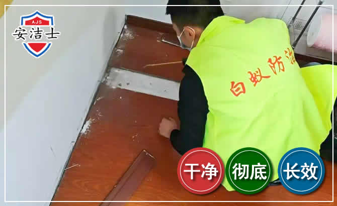 嵊泗除四害现场