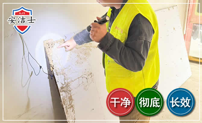 嵊泗除白蚁现场