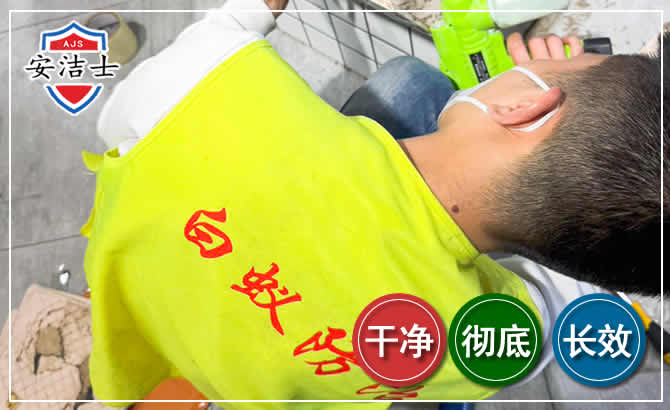 嵊泗白蚁根治现场